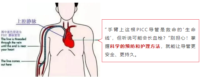 67fe1710ba10b.png